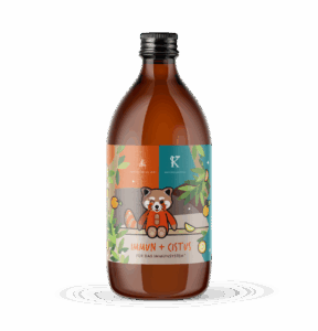 Immun-Cistus-Saft-Kinder-scaled