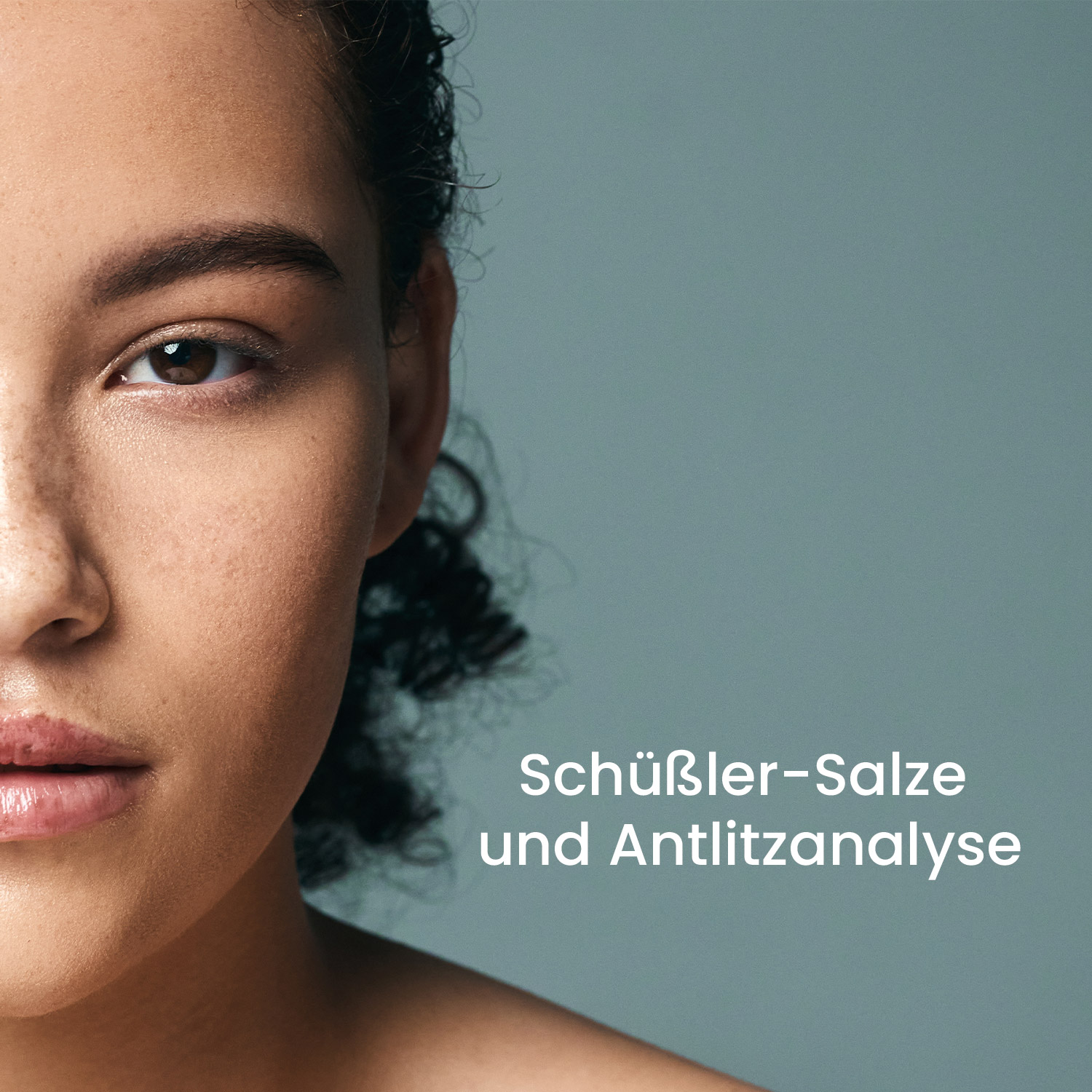 schuessler-angebot